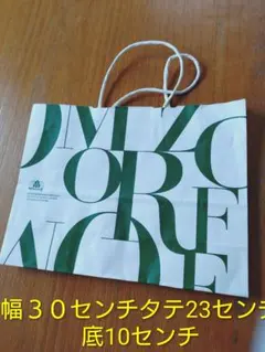 Item thumbnail for item 4ef98484-346a-4476-888f-4c73b2aad37d