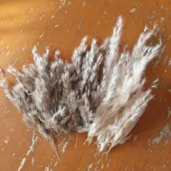 つーこ様 リクエスト 4点 まとめ商品