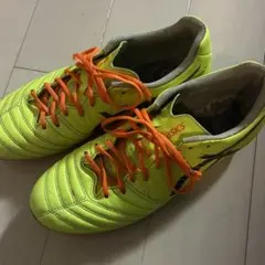 アシックス DS LIGHT X-FLY PRO 2 PARIS 25センチ