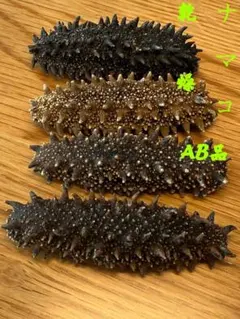 北海道半乾燥ナマコ 200g 乾燥ナマコ】 100g （北海道産 ） | 築地中原水産