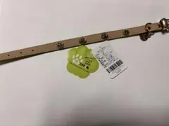 Item thumbnail for item 79bc07cb-8682-45d3-8734-c67a850a5b8d