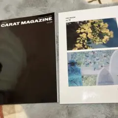 Item thumbnail for item 18684a96-1d5e-47d5-806c-08d8977de830