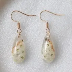 No.233 ドライフラワー ピアス かすみ草ゴールド♡