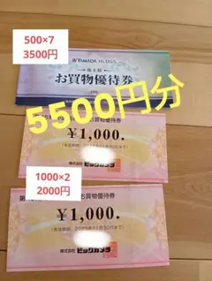 ビックカメラ YAMADA電機　株主優待券 1,000円 2枚　500円7枚