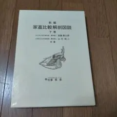新編家畜比較解剖図説 上巻下巻セット 新編 家畜比較解剖図説 下［並製版］ - 株式会社 養賢堂