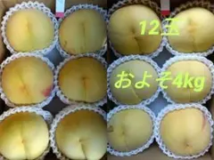 ⚠️ruchi様専用⚠️茨城県産 梨/甘ひびき、幸水 秀品/5キロ | Mercari