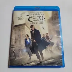 ファンタスティック・ビーストと魔法使いの旅('16英/米)