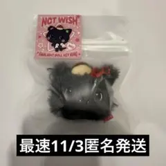 2025年最新】NCT wish リク ぬいぐるみの人気アイテム - メルカリ