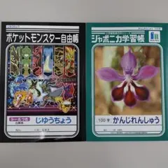 【ショウワノート】学習帳2冊セット ポケットモンスター・ジャポニカ