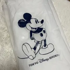 Item thumbnail for item 1aa7e31f-2144-4b21-93fc-a7479041ea50