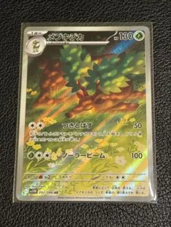 2025年最新】メブキジカarの人気アイテム - メルカリ