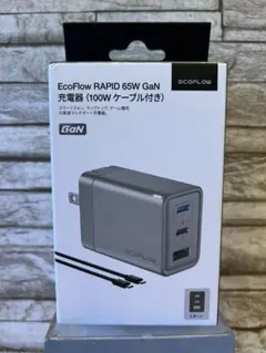 EcoFlow RAPID 65w GaN 充電器（100wケーブル付き）