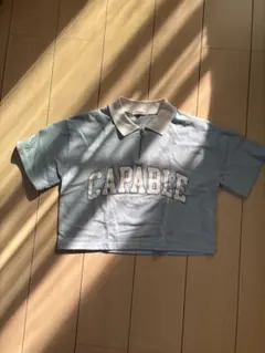 Item thumbnail for item c11c37d9-6efd-4ede-880a-5f7ba9685ee5