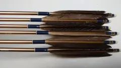 [01②] 弓道 矢 イーストン 2015 XX75 7本セット 2025年最新】easton xx75 2015の人気アイテム - メルカリ