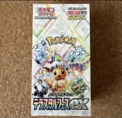 2025年最新】テラスタルフェス boxの人気アイテム - メルカリ