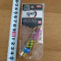 【鬼滅の刃】LEDライトキーホルダー　冨岡義勇