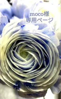 ♡moco様専用ページ♡ドライフラワースワッグbule&pink♡