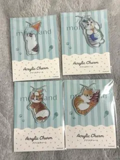 ファミマ mofusand アクリルチャーム 全4種類 コンプリート 新品