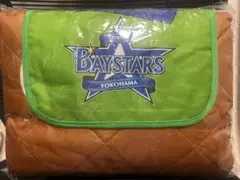【超レア】横浜ベイスターズ歴代イヤーブック付録下敷き1993年~25年分コンプ! 超レア】横浜ベイスターズ歴代イヤーブック付録下敷き1993年~25年分