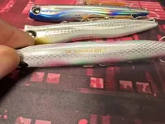Daiwa morethan SLY Fのサムネイル