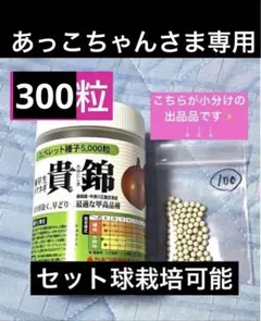 あっこちゃんさま専用玉ねぎ貴錦ペレット(コート)種子　300粒　( Ｔ-③)