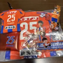 アルビレックス 応援グッズ