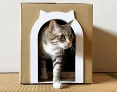 猫ハウス 段ボール フレーム「猫の穴」（猫耳大）受注生産のサムネイル