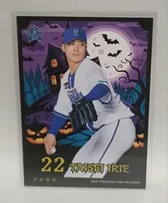 Item thumbnail for item 52e98547-d612-4115-a774-af89e1f9a9d5