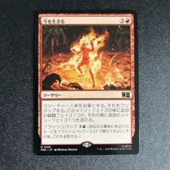 敏捷なこそ泥、ラガバン foil 国内印刷 - メルカリ