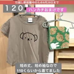 ボリスプリント ブラウンベージュ Tシャツ 120cm
