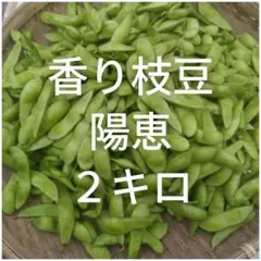 7/3収穫】枝豆 4kg A品 朝採り 当日発送 新潟系14号 農家直送 - メルカリ