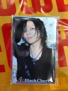 Acid Black Cherry2009tour Q.E.D.DVD購入特典