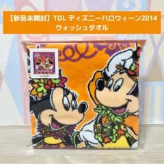 【新品未開封】TDL ディズニーハロウィーン2014 フェイスタオル