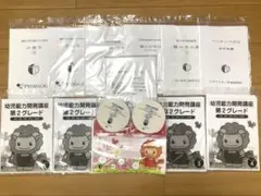 2026年最新】ピグマリオ 第4グレードの人気アイテム - メルカリ