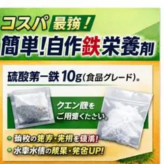 【コスパ最強】自作 鉄栄養剤キット（硫酸第一鉄10g・食品グレード）のサムネイル