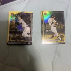 Item thumbnail for item 1f3f8e66-91ba-46f8-91c1-207b96fd0cda