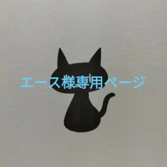 エース様専用ページ