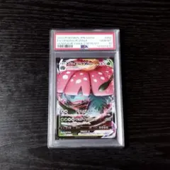 PSA10 妙蛙花VMAX 藝術 寶可夢 寶可夢卡