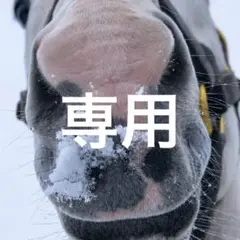 専用
