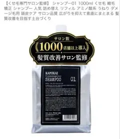 KAMIKAI シャンプー01 1000ml 詰替 - メルカリ