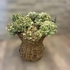秋色紫陽花　【特大】10本とユーカリドライフラワ ☆黒茎ゼブラフラミンゴ