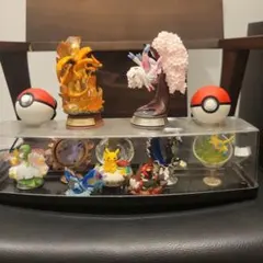 2025年最新】星降る夜のスターリウム ブラッキーの人気アイテム