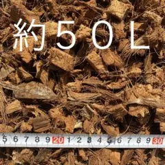ココチップ　ヤシガラ　ハスクチップ　粒粗め　５０Ｌのサムネイル