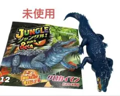 【未使用】　ジャングル&co. アンドコ　クロカイマン