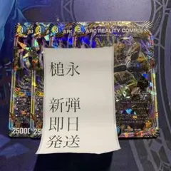 ARC REALITY COMPLEX 4枚
