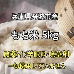 しおむすび様専用　もち米 玄米 5kg【無農薬✨️】 兵庫県丹波市産