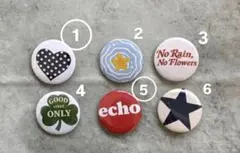 やっち☆プロフを見て下さい様専用ページ☺︎選べる缶バッチ８点セット