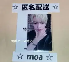 txt タレントカード