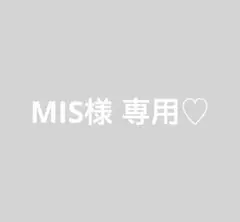 MIS様 リクエスト 3点 まとめ商品