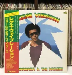 THE WAILERS「REGGAE GREATS」レコード 未開封 - メルカリ